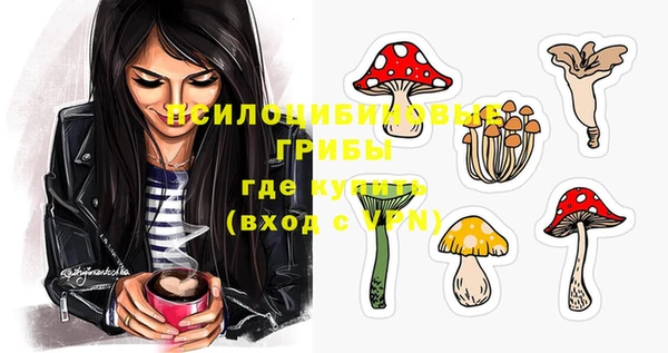прущий лед Аша