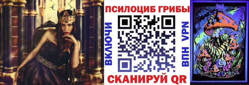 дарк нет клад  Велиж  Псилоцибиновые грибы Cubensis  наркотики 